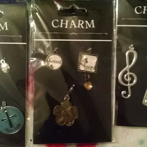 Assorted jewelry charms bundle. - Picture 4 of 7
